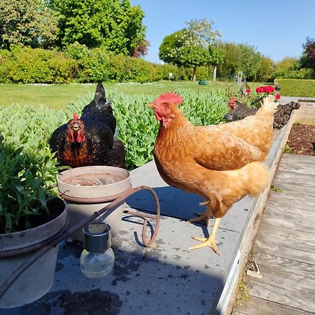 La Cle Des Champs Bed & Breakfast Jodoigne ภายนอก รูปภาพ